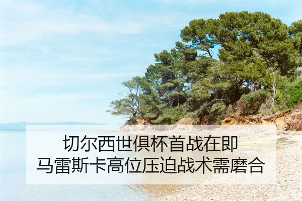 qie-er-xi-shi-ju-bei-shou-zhan-zai-ji-ma-lei-si-ka-gao-wei-ya-po-zhan-shu-xu-mo-he-2-676.jpg