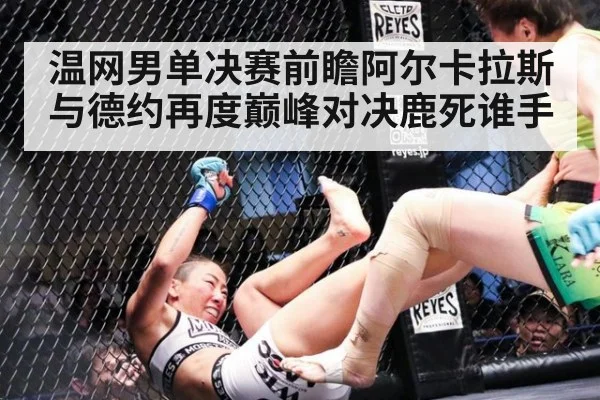 温网男单决赛前瞻阿尔卡拉斯与德约再度巅峰对决鹿死谁手