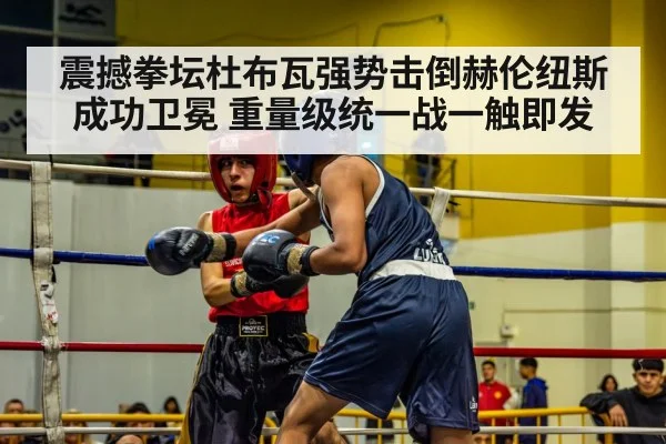 震撼拳坛杜布瓦强势击倒赫伦纽斯成功卫冕 重量级统一战一触即发