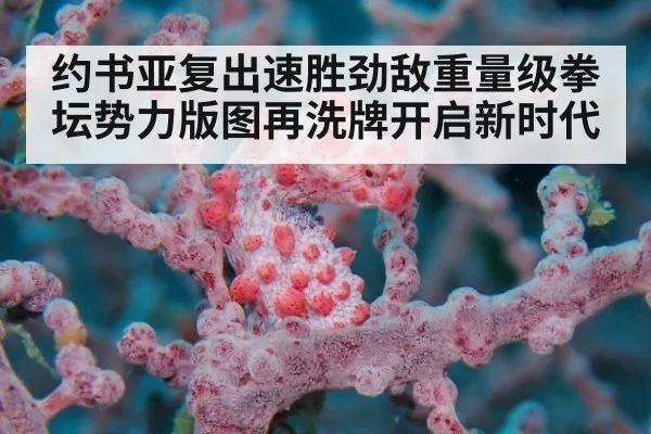 约书亚复出速胜劲敌重量级拳坛势力版图再洗牌开启新时代
